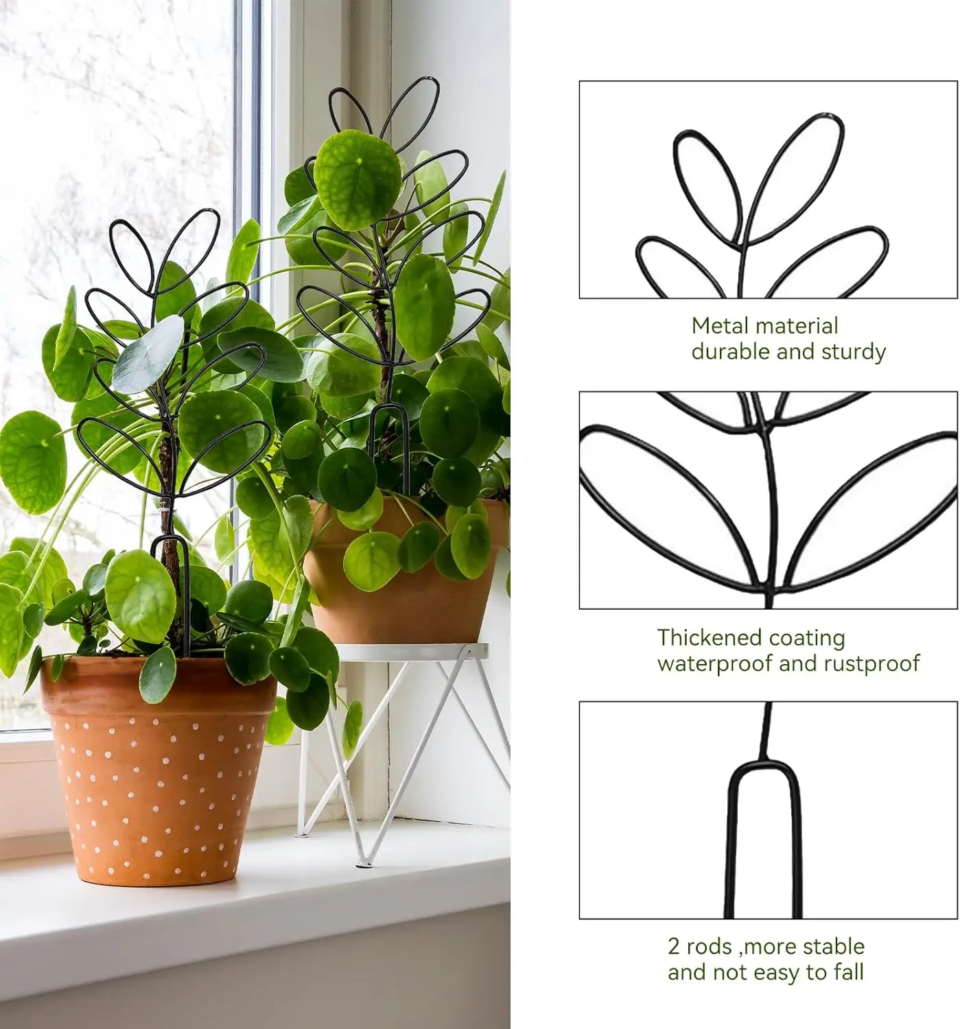 Indoor Plant Trellis Metal Plant Trelli For Climbing Vines Ivy Flower Durable Climbing Plant Support Frame Gardening Accessories
