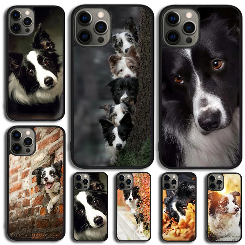 Cute Border collie dog pet Phone Case Cover For iPhone 15 16 14 XR XS 11 12 13 Mini Pro MAX Plus