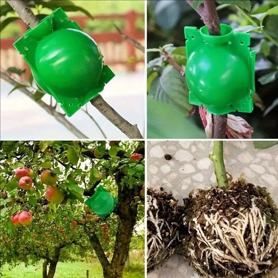 5pcs/10pcs/20pcsPlant Propagation Balls,High-altitude Pressure Branch Grafting Balls, Gardening Planting Tools