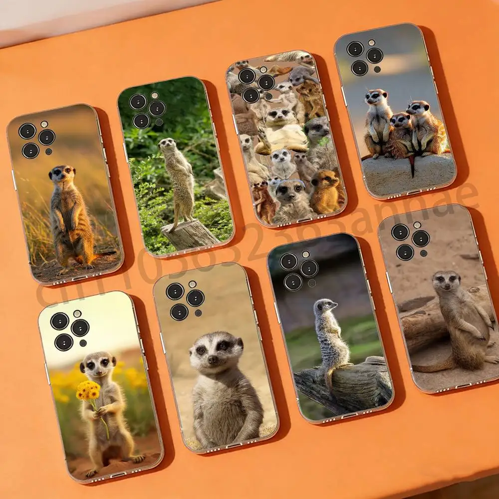 

Cute Baby Meerkat Phone Cases For iPhone 17 16 15 14 13 12 11 Pro Max Plus Luxury Camera Protection Plastic