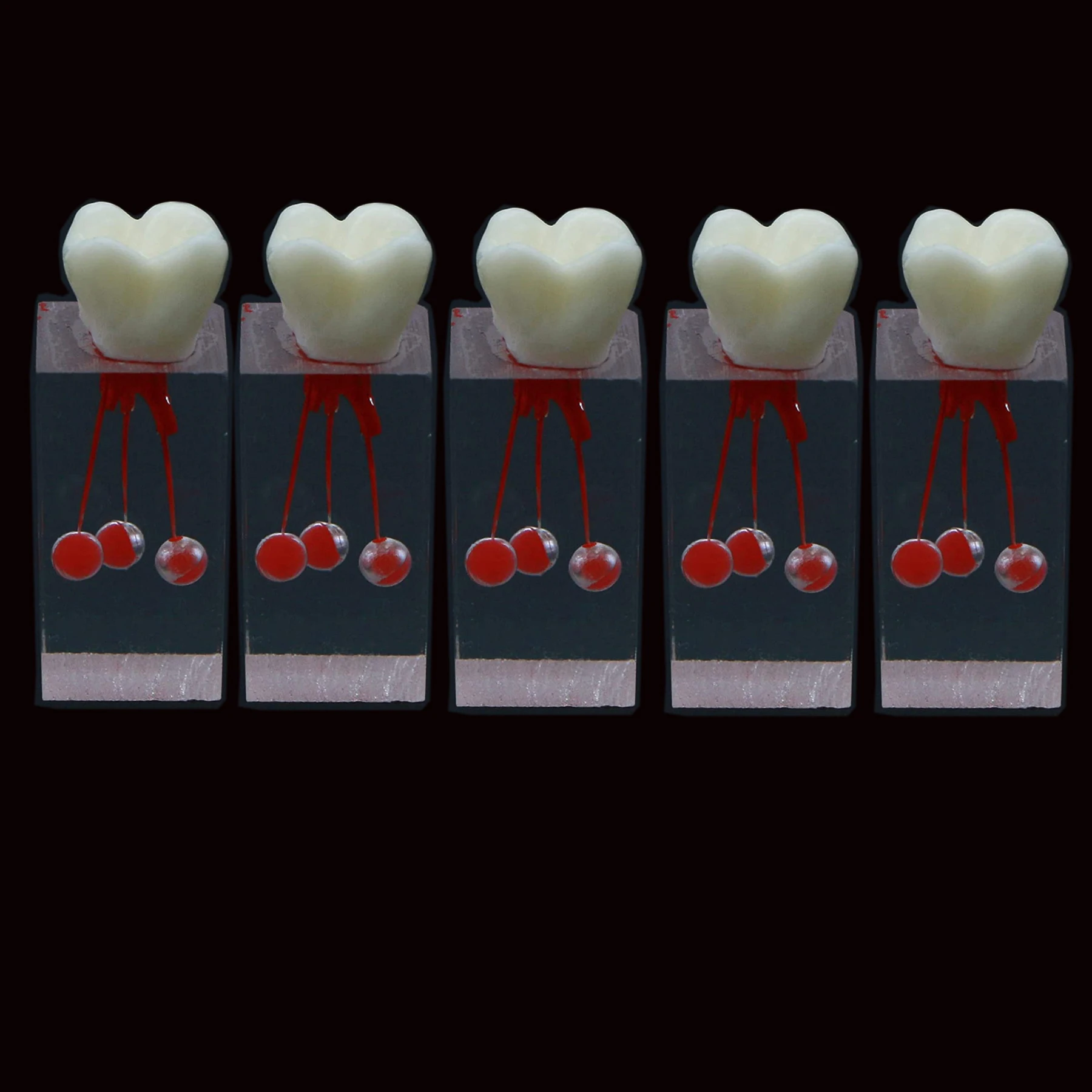 

5Pcs Dental Endodontic Root Model Canal Block Practice Pulp Cavity Resin Endo Training Front Tooth RCT Teaching Exercise M8004-3