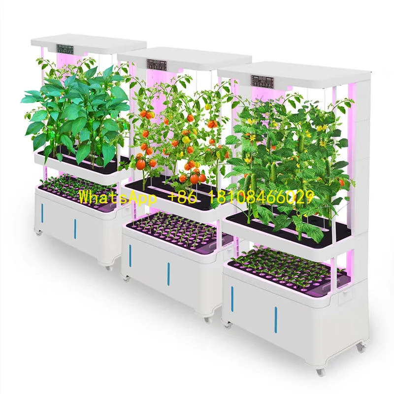 

Growing System Equipment for Fruit Vegetable Detachable Remote Control Indoor Smart Multi-Layer Vertical Hydroponic
