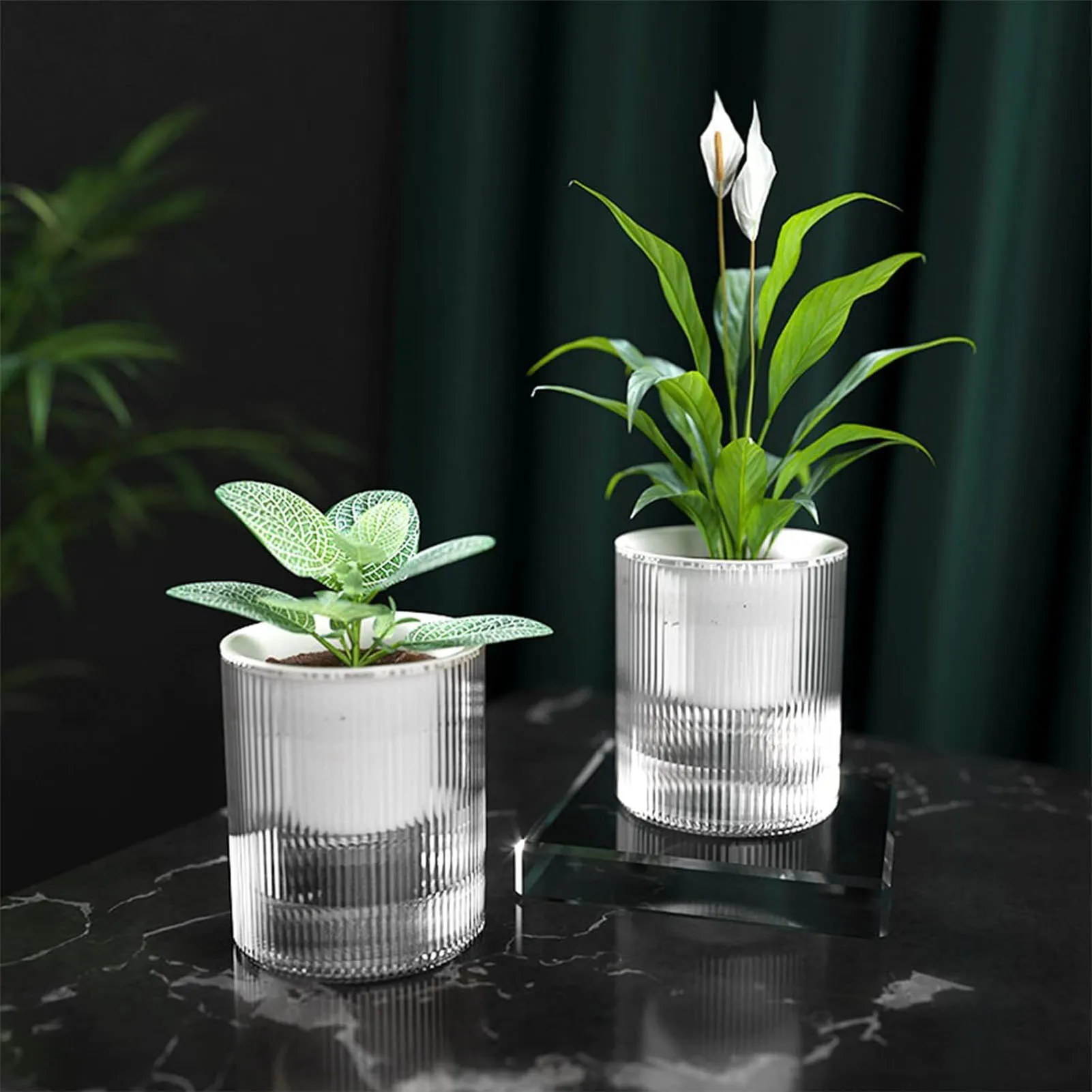 Lazy Flower Pot Automatic Water-absorbing Hydroponic Flowerpot Transparent Double Layer Plastic Planter Home Watering Planter