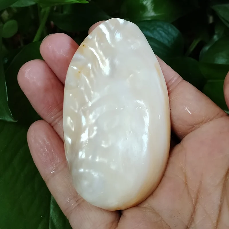 Polished Mother of Pearl Shells Natural White Jade Shell Beach Wedding Decoration for Home Aquarium DIY Jewelry Making Material