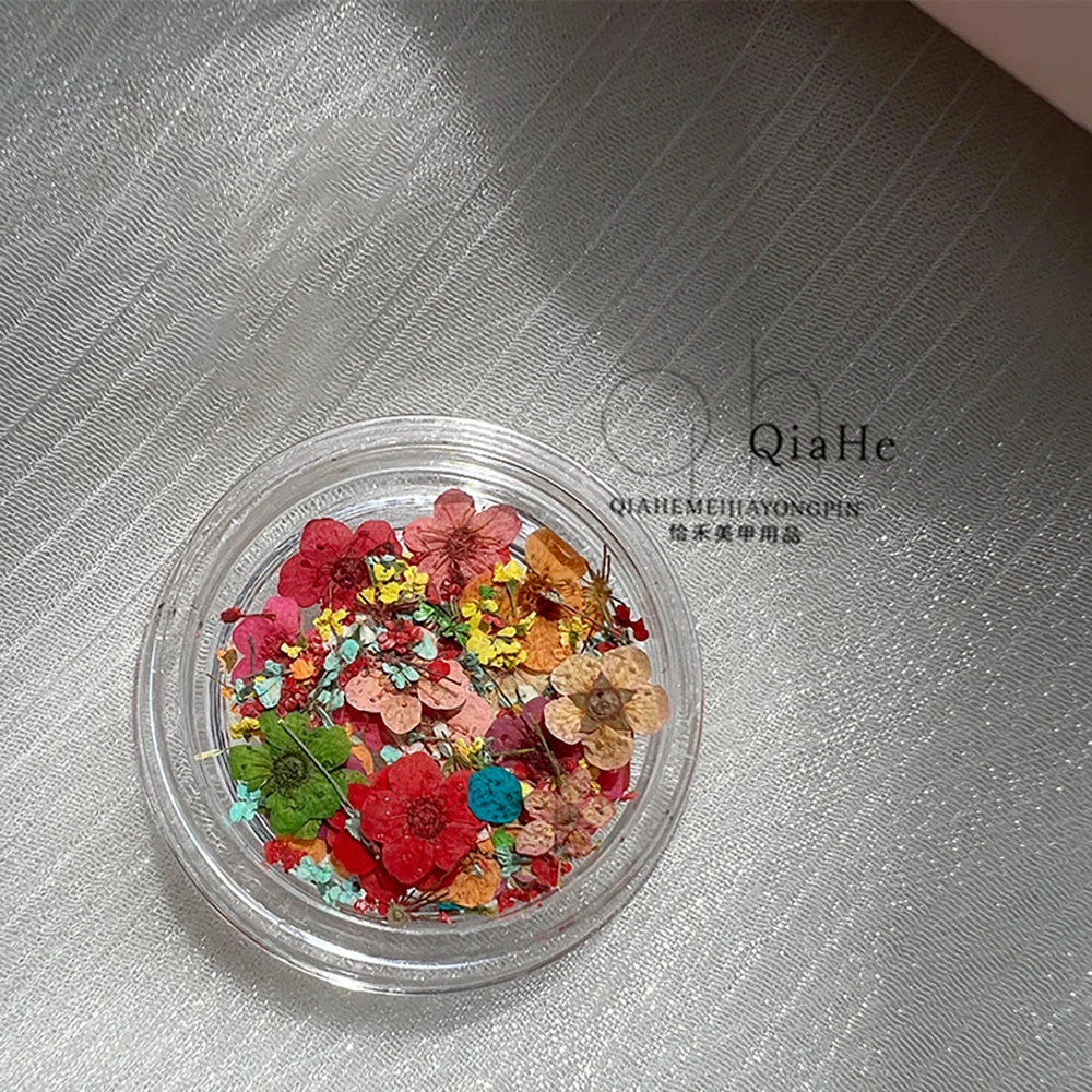 1 Box Daisy Nail Art Diy Dekorationen im japanischen Stil, UV-Gel, getrocknete Blumen, gemischte Farben für Nägel, Kunst-Charms,