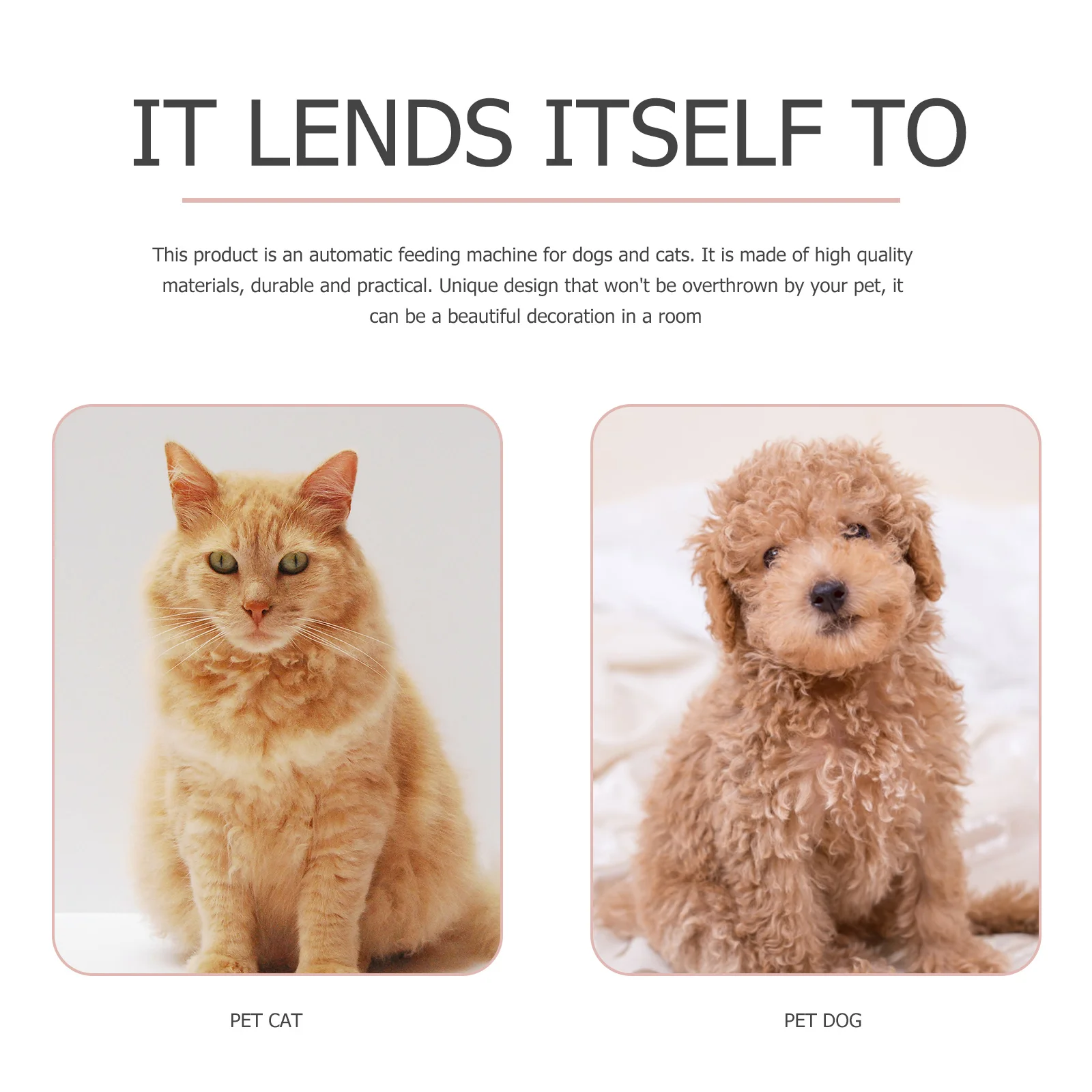 

1pc Automatic Cat Water Dispenser Durable Pet Dog Feeding Bowl Stable Break Proof Grade Material Pet Water