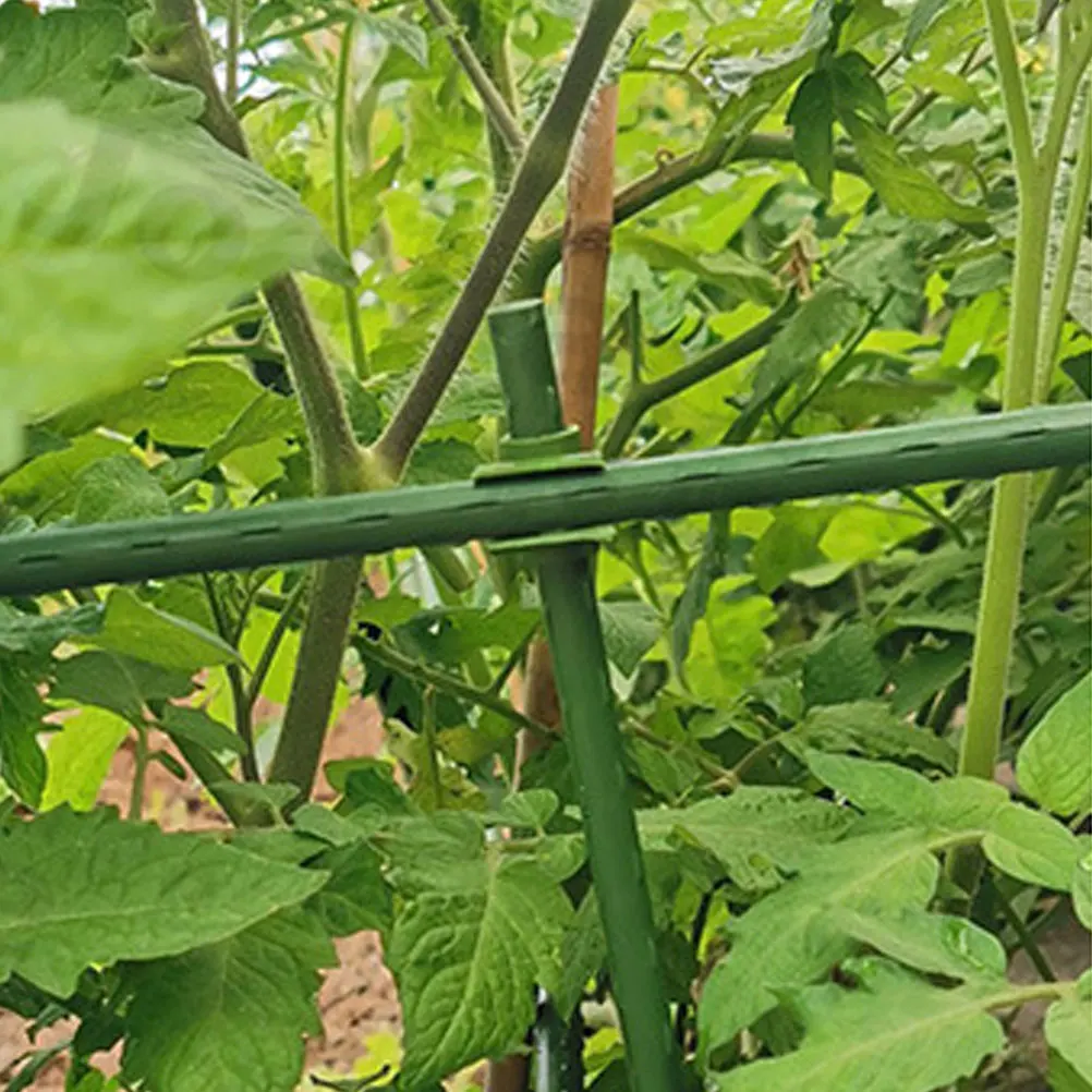 

50pcs Plant Climbing Trellis Stake Connector Plastic Buckle Brackets Gardening Accessories Vine Bracket Joint Rattan Fastener