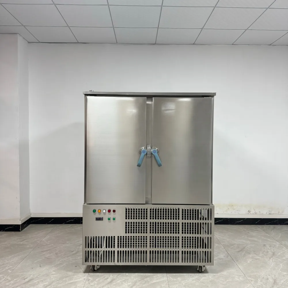 Commercial Stainless Steel -45 Degree Blast Freezer 20 Trays Double Door 730L CE Certified Fish Meat