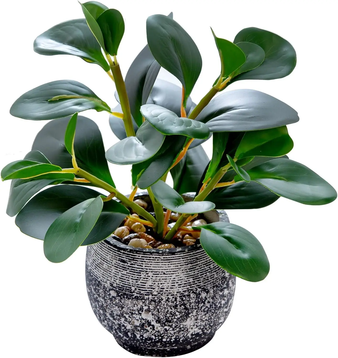

Artificial Plants Potted Real Looking Small Faux Plant with Rustic Black Cement Planter for Kitchen Office Desk Bookshelf Decor