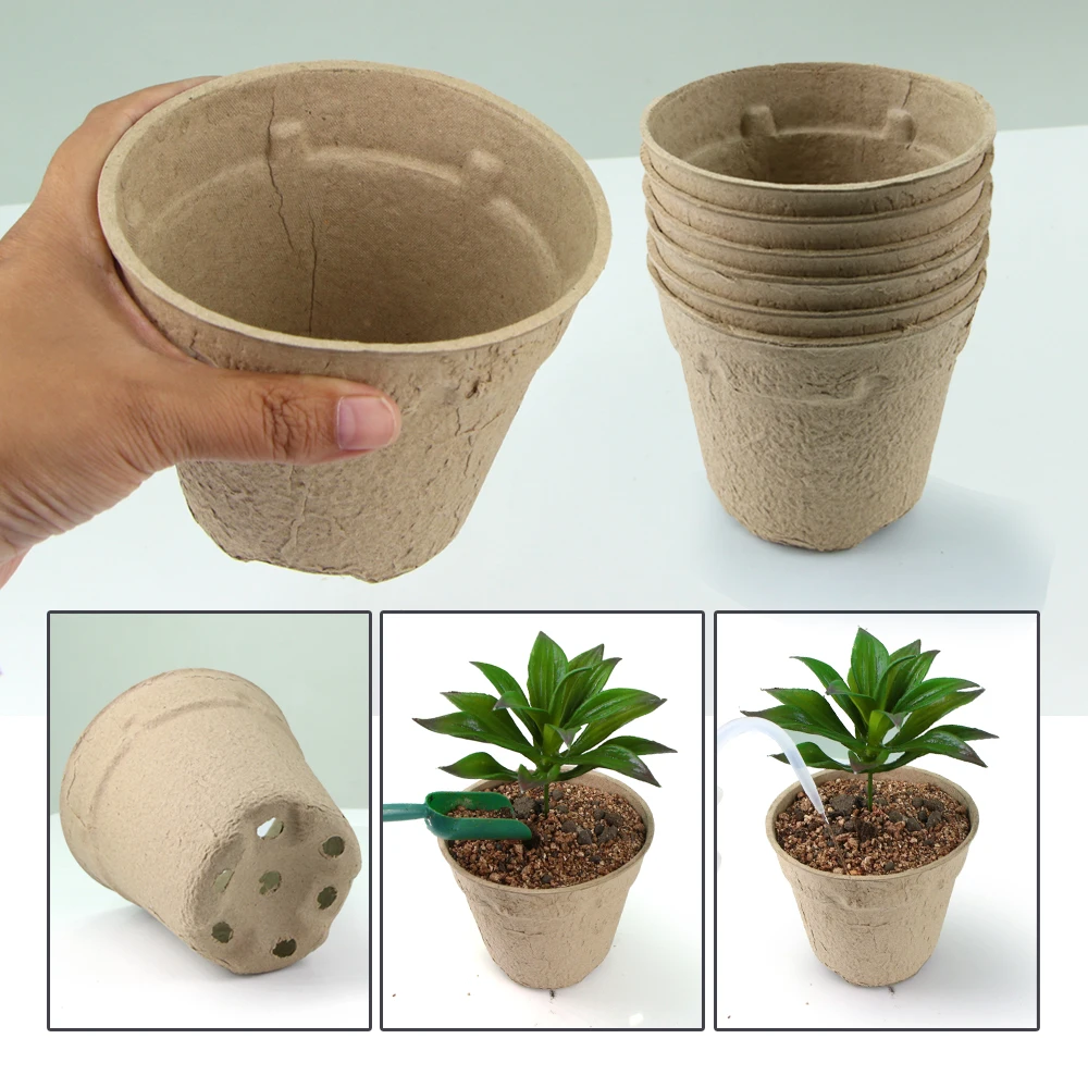 Home Garden 11cm Round Biodegr - Seed Starter Trays 评论和价格