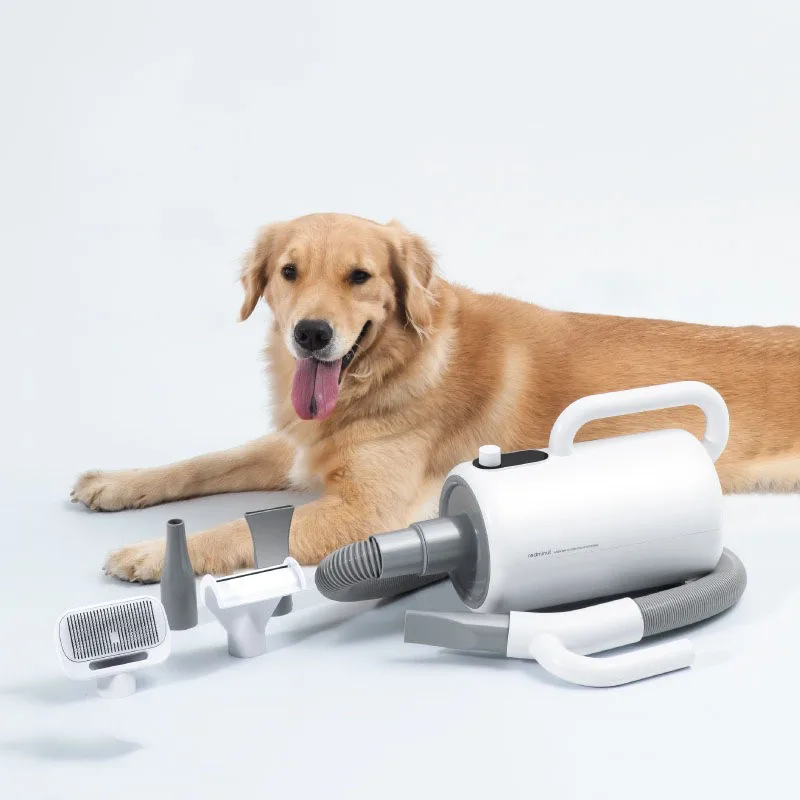 

Фен для воды для домашних животных, низкий уровень шума, большой фен для собак, машина для выдувания волос для кошек, принадлежности для ухода за волосами щенка, фен для волос для животных