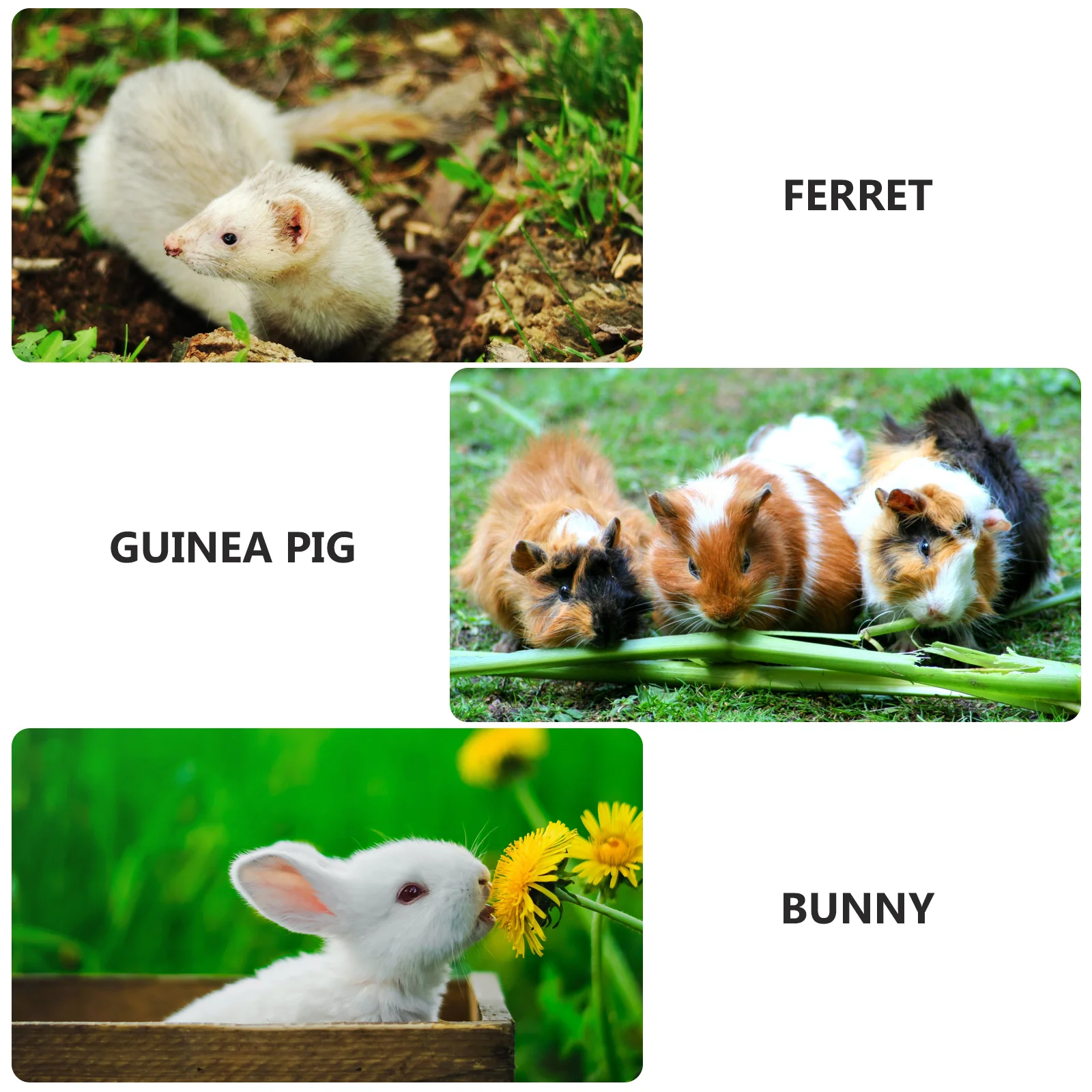 1 قطعة مرحاض الحيوانات الأليفة الصغيرة البلاستيك أرنب المرحاض صينية نفايات القنفذ انفصال شبكة سهلة التنظيف #3