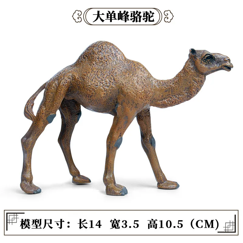 Simulated animal plastic model pendulum camel solid static model big single humped camel children\'s animal toy