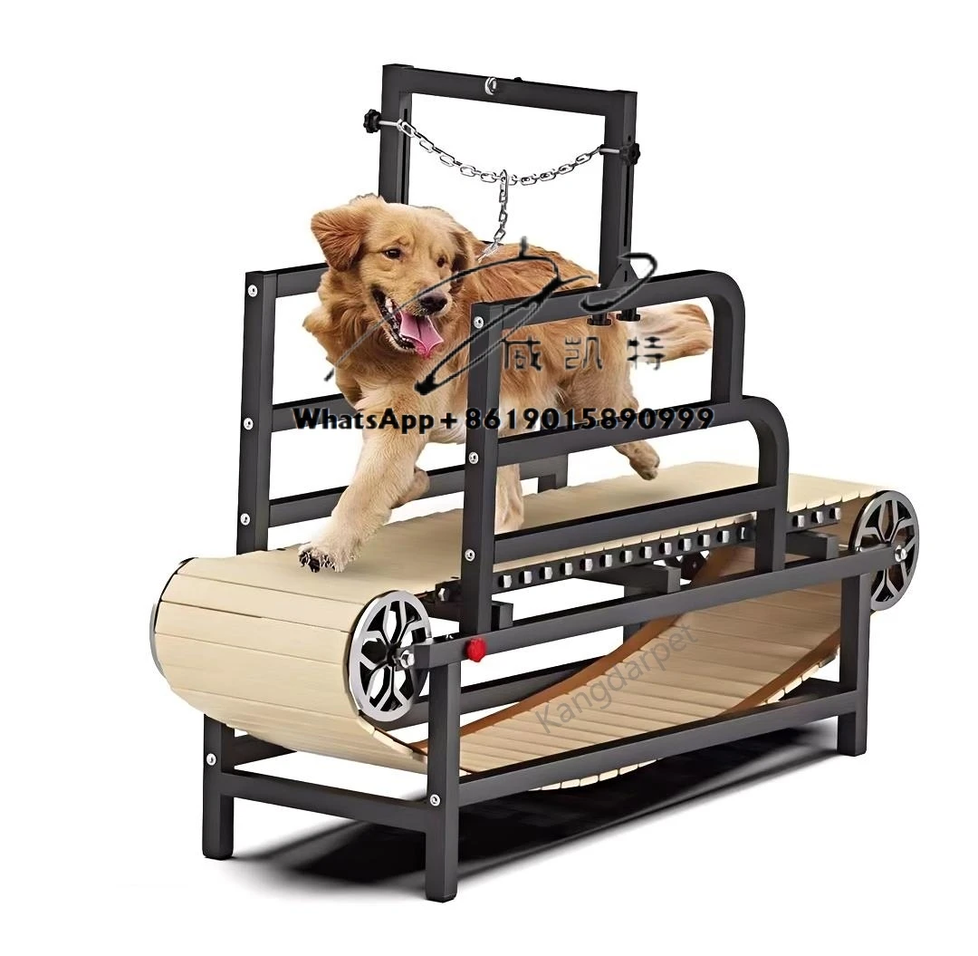 

Foldable Dog Treadmill for Small/Large Dogs | CE Certified Adjustable Speed & Non-Slip Belt | Pet Weight Loss & Rehab Equipment