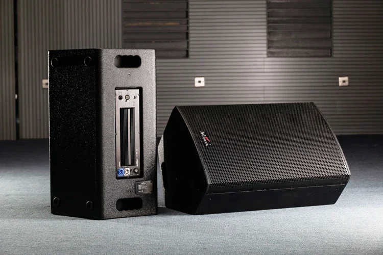 Active Pa Speaker with Class D Amplifier Module