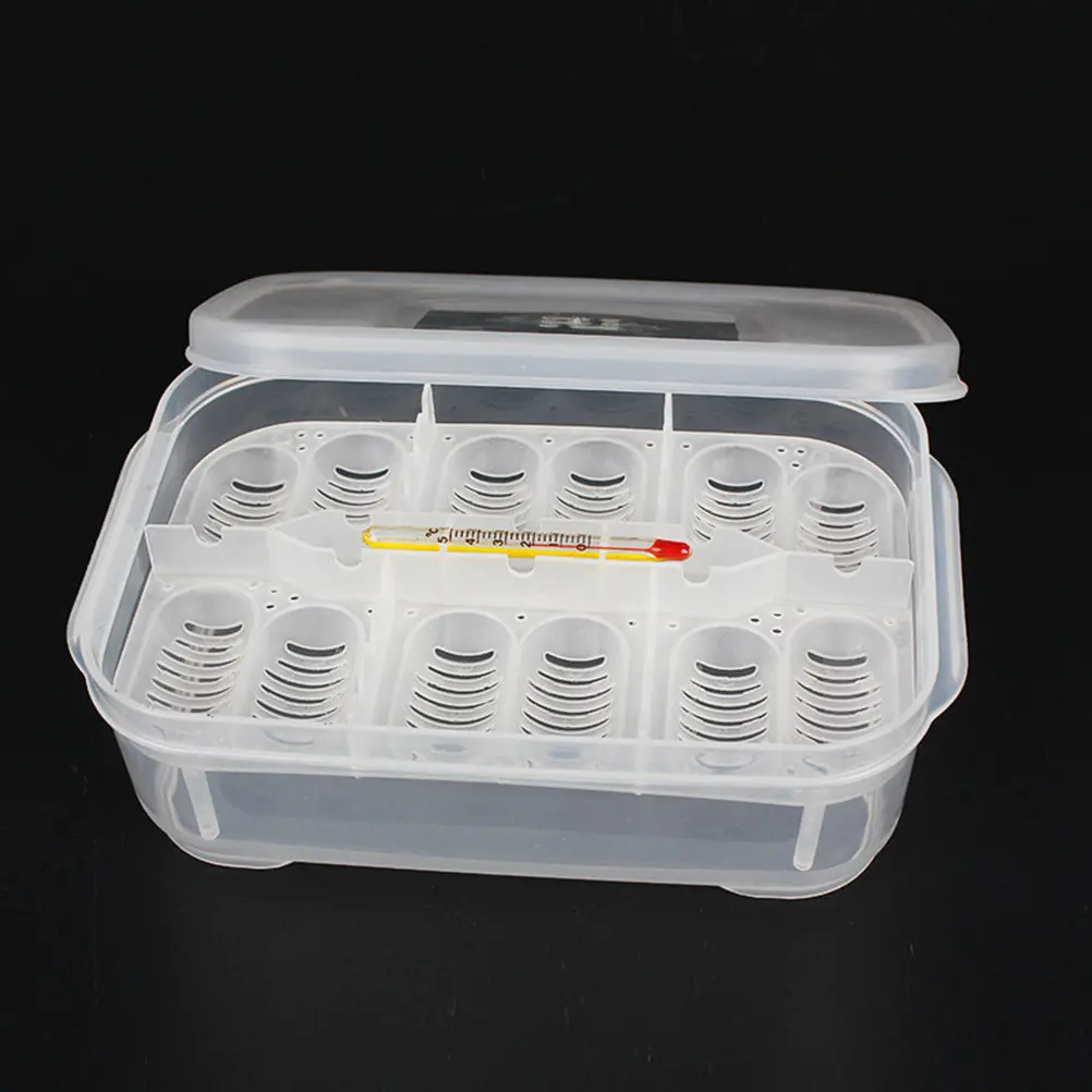 Boîte d'incubation transparente pour l'isolation des reptiles, des serpents et des lézards, pour l'observation, le nettoyage et le stockage des œufs à éclore