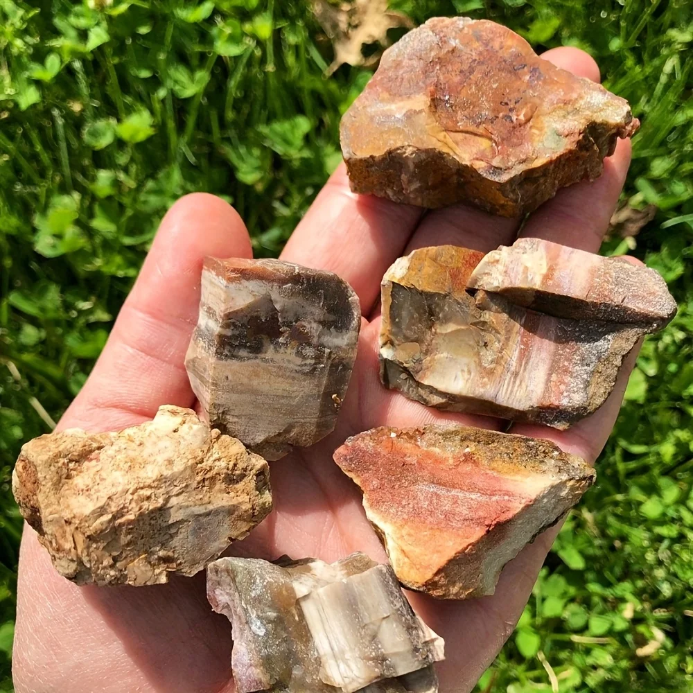 1pc/3pcs/1 Bag Natural Petrified Wood Raw Stone, Uniquely Patterned Colorful Stone,Petrified Wood Rough Specimen