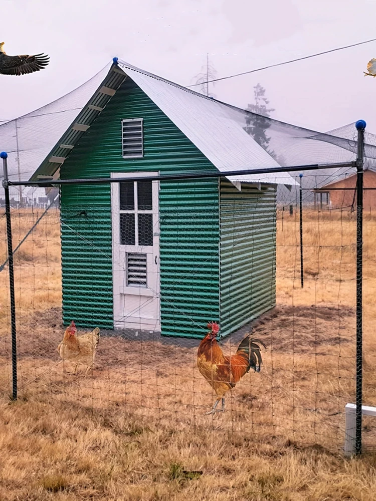 

Nylon Bird Netting Mesh Hawk Netting Protective Garden Bird Net 25 X 50 FT Fruit Tree Netting for Vegetables Poultry