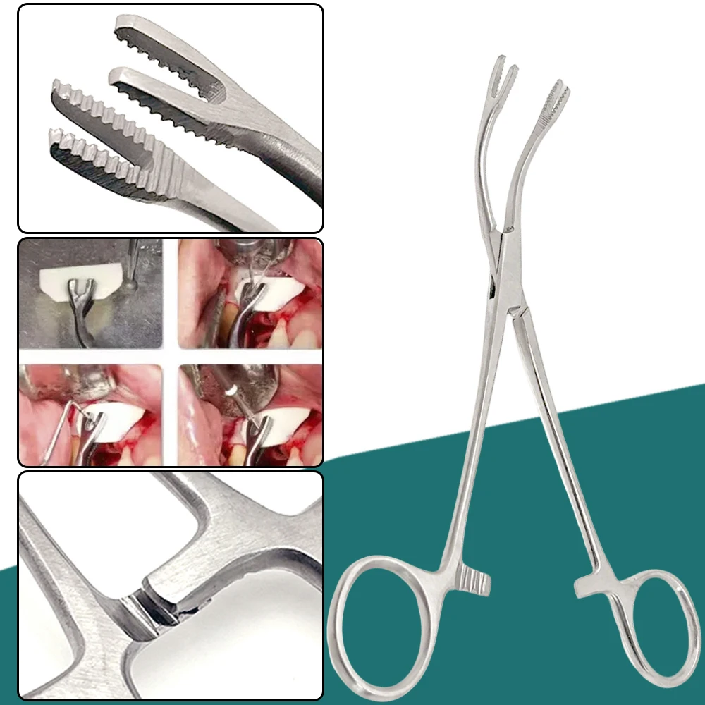 Bone Fragment Gripper Forceps for Dental Implant Grafting Bone Fixation and Surgical Procedures Reusable Dentist Tool