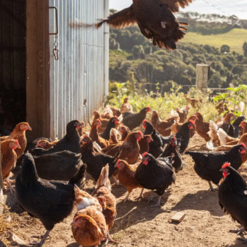 

WLtoys 124007 124017 124019 144001 144002 RIaarIo XDKJ-001 006 AM-X12 Детали радиоуправляемого автомобиля Металлические аксессуары для обновления и модификации