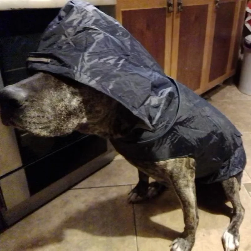 Pet Raincoat for Medium & Large Dogs, Reflective, Windproof with Hood.