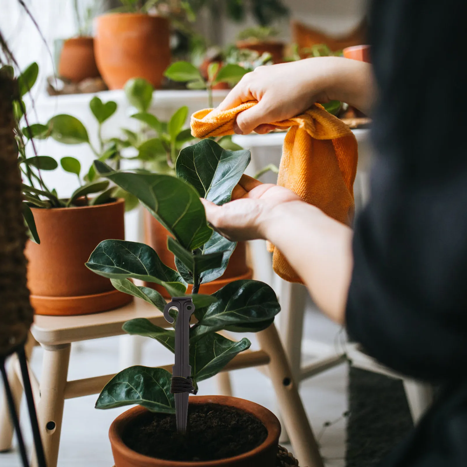 Kit de Estacado para Árboles Jóvenes, Anclajes de Plástico Resistentes a la Intemperie, Sistema de Soporte para Plantas de Jardín para un Crecimiento Óptimo