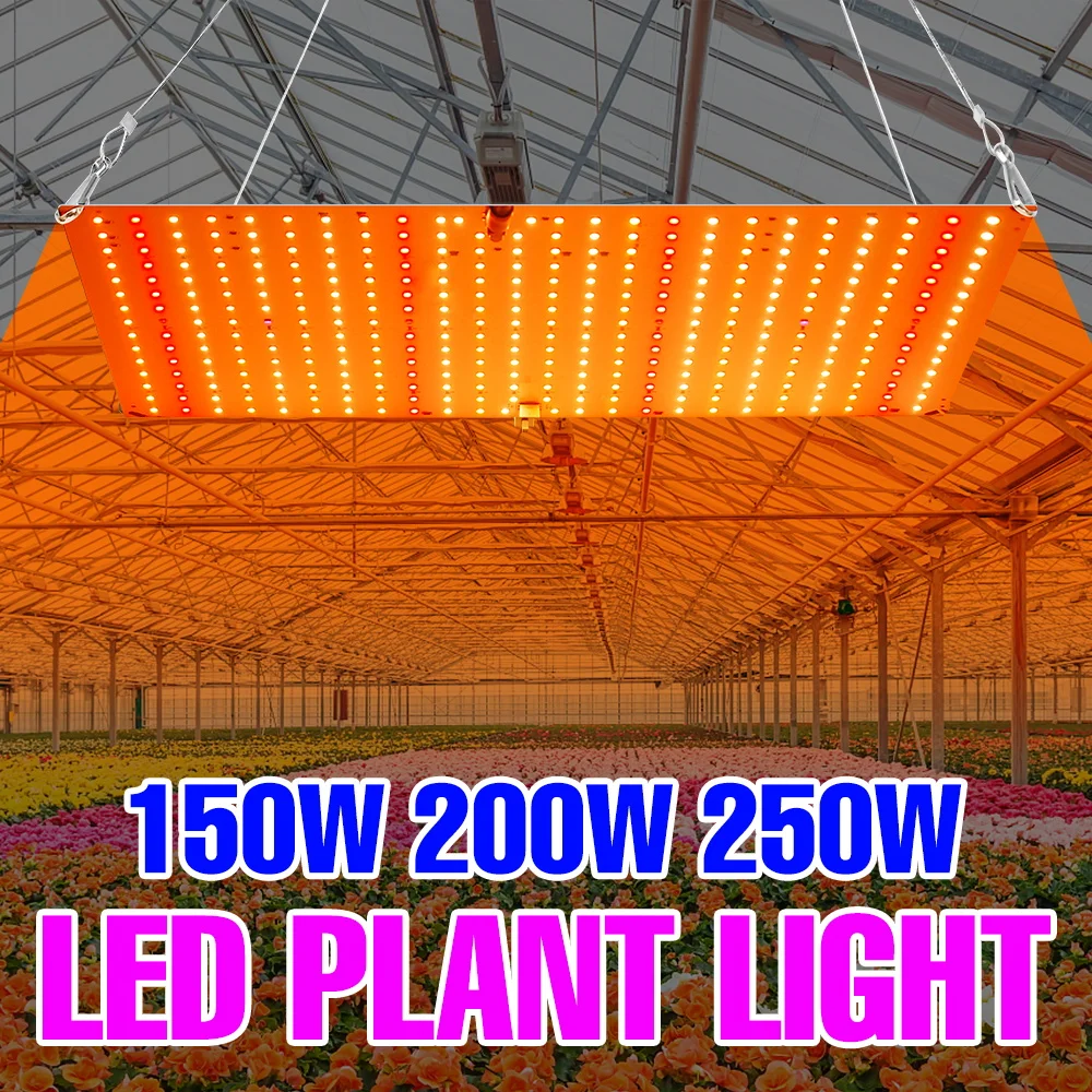 

250 Вт светодиодный светильник полного спектра для выращивания растений, квантовая доска, УФ-лампа для комнатной теплицы, палатка, овощи, фрукты, выращивание, заполняющее освещение