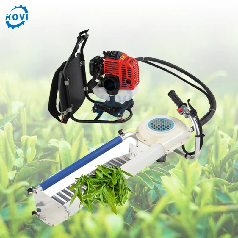 

Electric Tea Leaf Picking Harvesting Machine Tea Plucking Machine Price Good Quality Tea Picker Machine