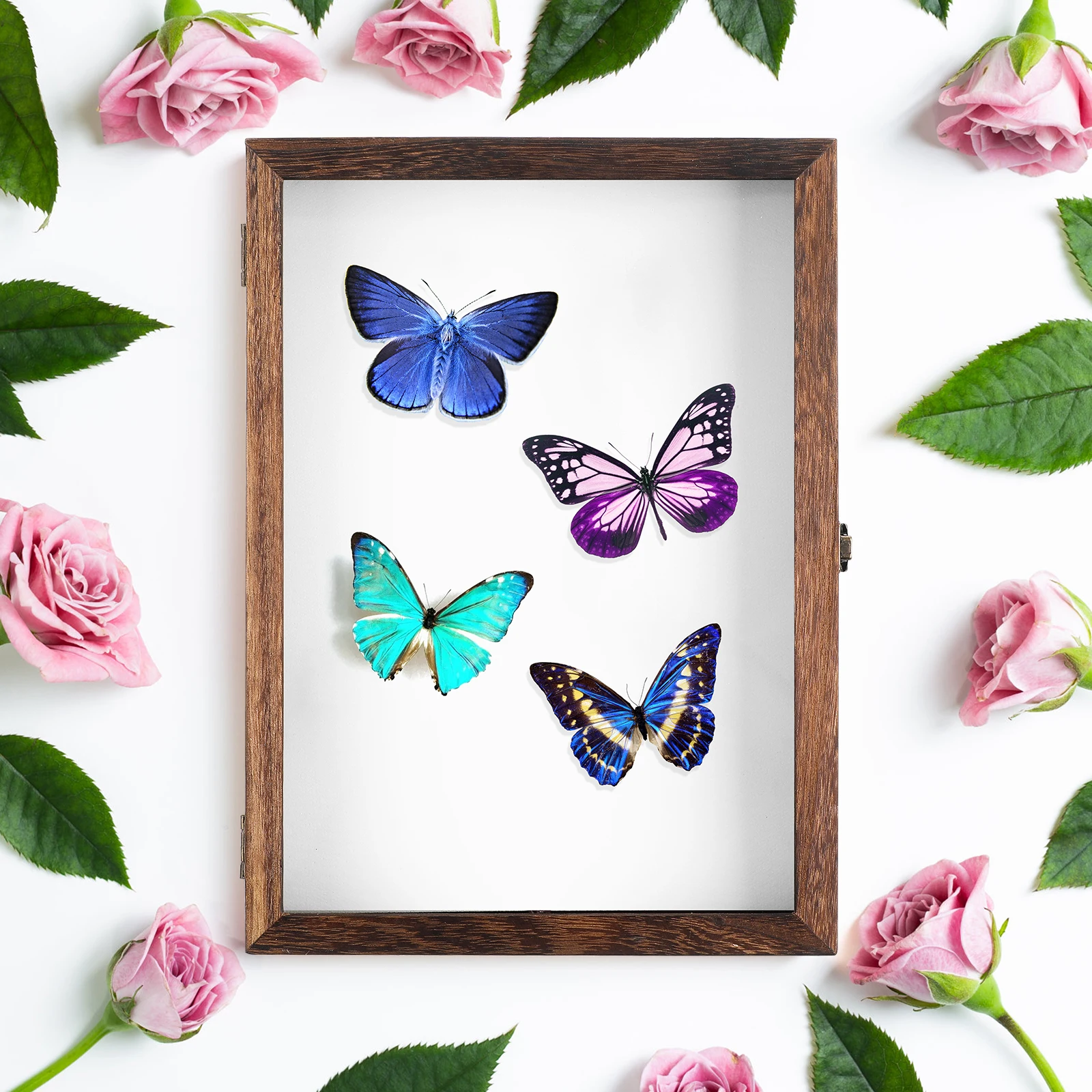 Specimen Display Box Transparent Acrylic Wood Storage Frame Retro Style Large Capacity Shadow Box Case Specimen Frame Jewelry