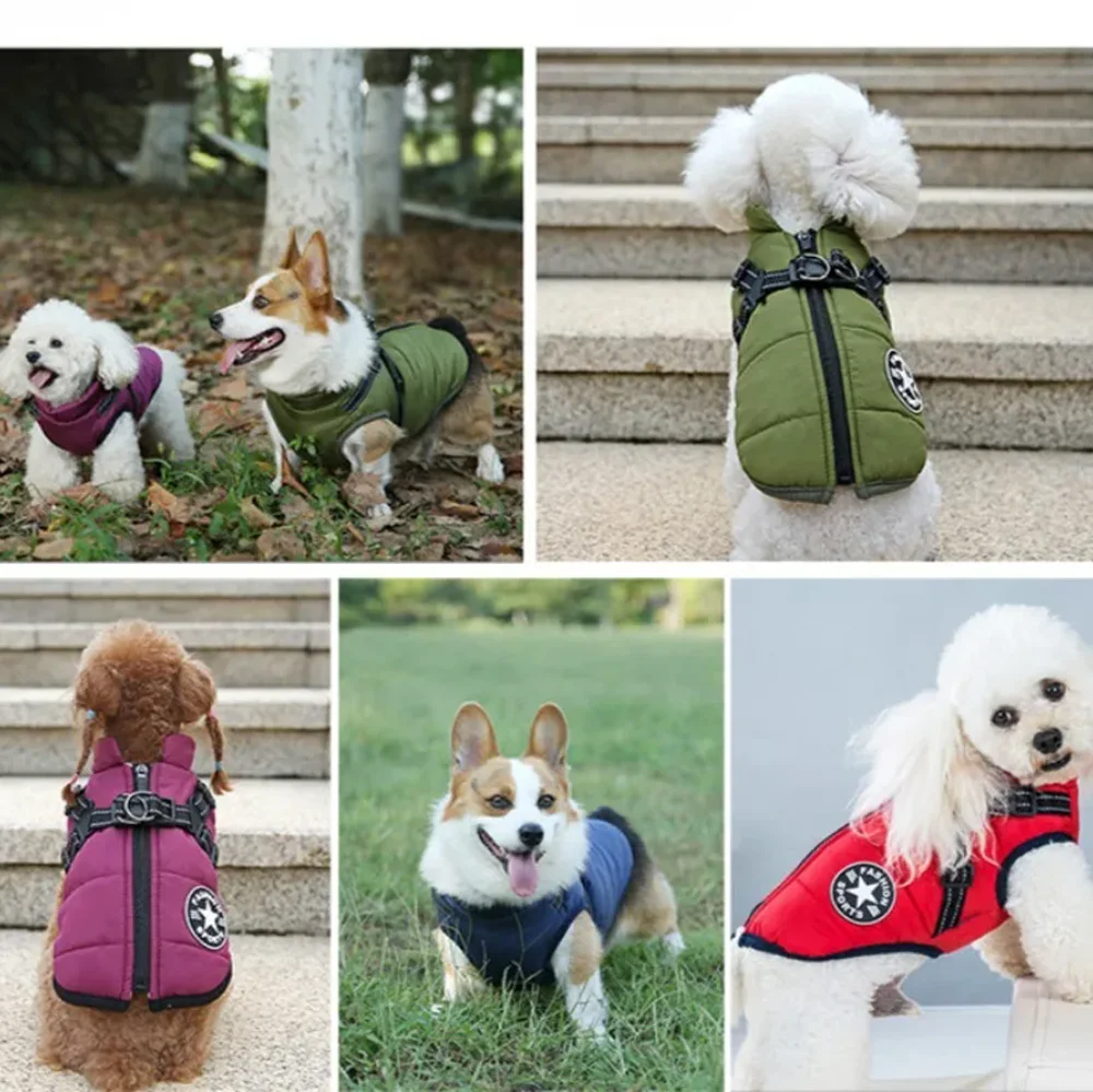 Winter Warm Pet Dog Jacket with Harness Waterproof Dog Coat Vest for Small Medium Chihuahua French Bulldog Outdoor Dog Clothes - view 5