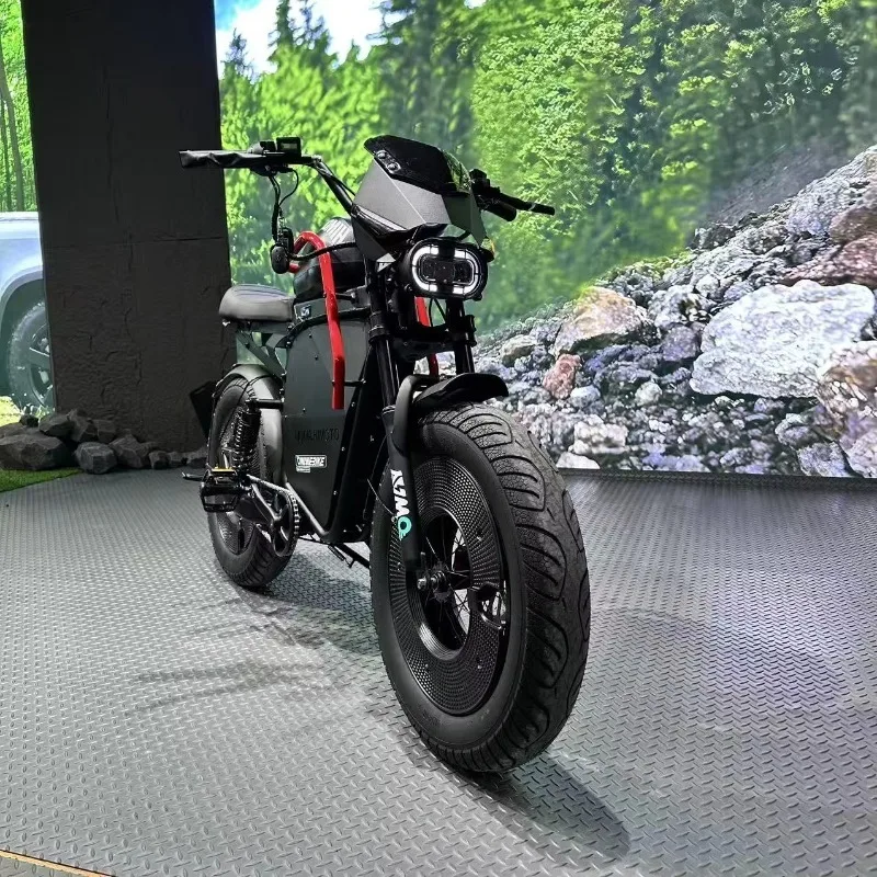 Custom 20 Inch Fatbike Motorcycle Thick Suspension Anti Theft Commute Brushless Motocross Bike Electric Hybrid Bike