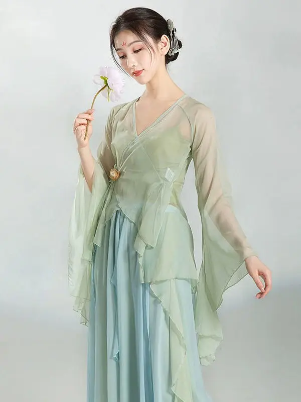 Chinese Classical Dance Dress Flowing Chinese Style Half Skirt Chiffon National Style Stage Performance Costume