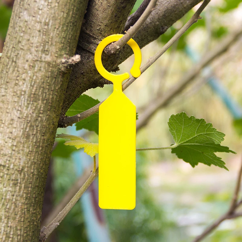 Conveniente diseño de hebilla de anillo, etiquetas de plantas colgantes de plástico de 50 piezas para un fácil abrochamiento de ramas en su jardín de guardería