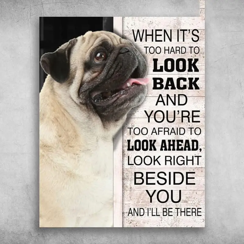 Metal Plate Tin Sign Look Right Beside You and I'll Be There Pug Dog Tin Signs Indoor & Outdoor Home Bar Coffee Kitchen  sign