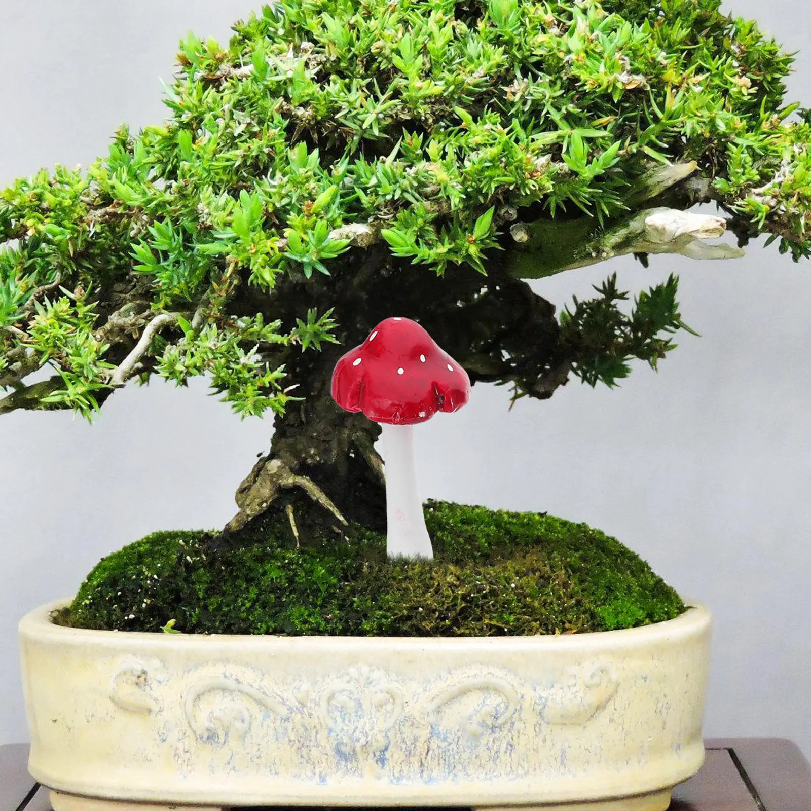 33 stuks kunstmatige schuimzwa - Bonsai Garden Display recensie en prijs