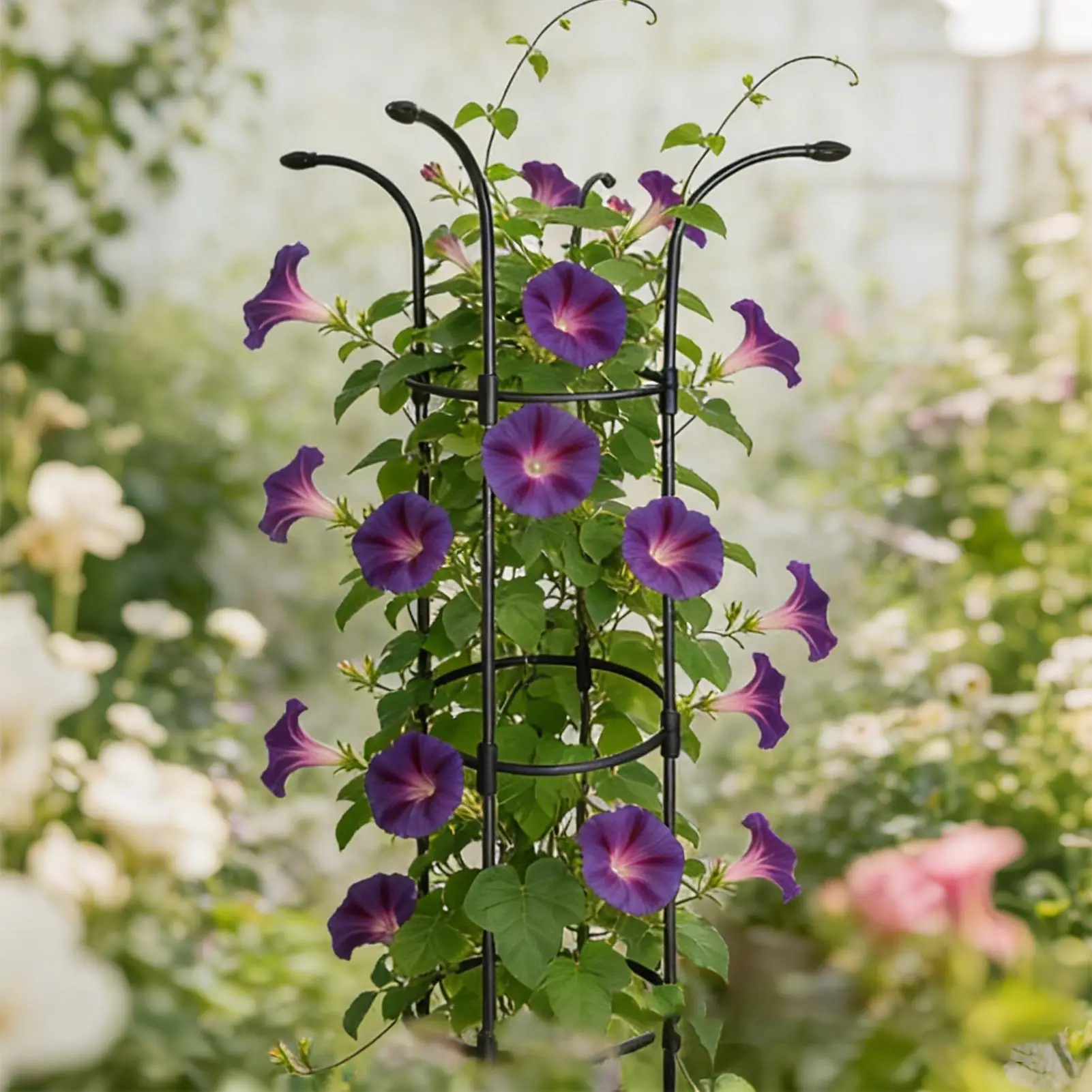 植物トレリス屋外装飾用垂直防錆安定サポートケージ傘型トレリス、つる性植物、バラ、クレマチス、野菜、ドラゴン用