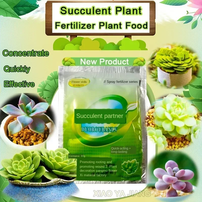 6pcs Succulents Bonsai Plant Food Compound Fertilizer Medicinal Hormone Regulators Growing Recovery Aid Garden Nutrient