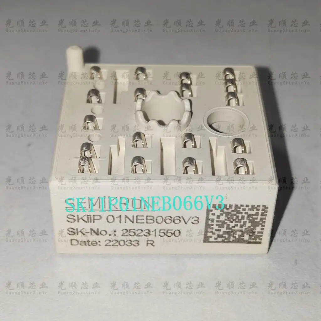 skiip01neb066v3