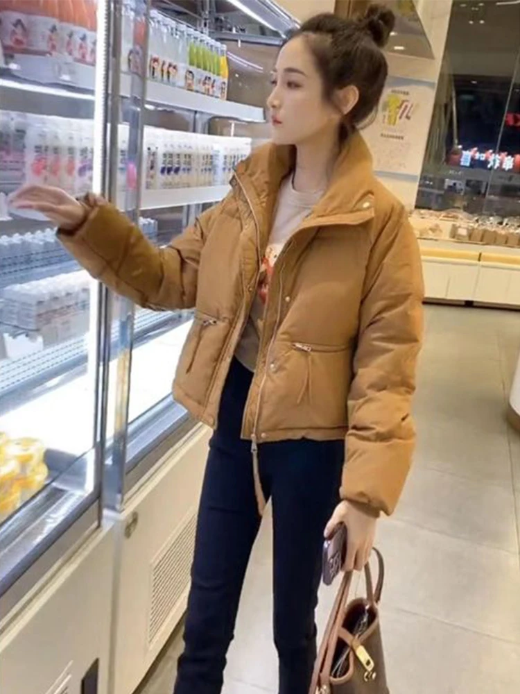 

Женская утепленная зимняя куртка-пуховик в корейском стиле, свободного кроя, на молнии, хлопковая, цветная