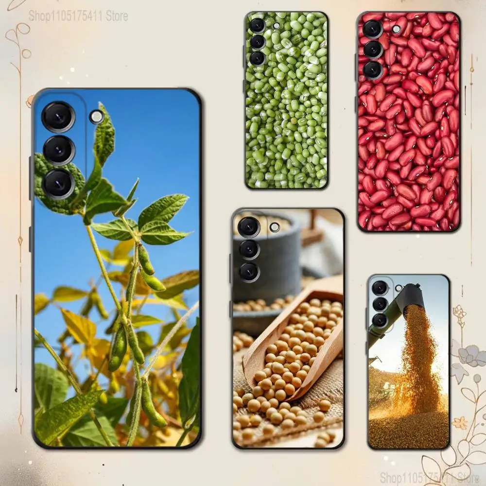 Plump Poybeans Phon…