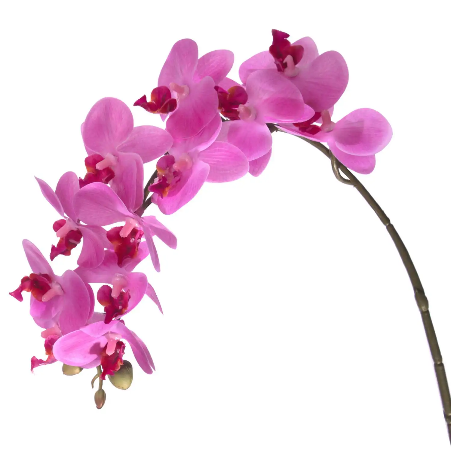 Euro Flora artificial flower orchid 57,5 Cm