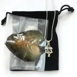 Diversão jóias com pingente de biquíni gaiola, desejo Pearl Oyster Medalhão, Natural pérola mexilhão, branco rosa roxo