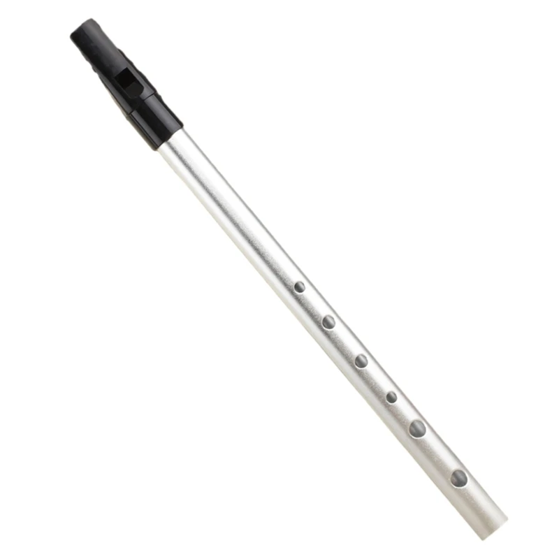 Tin Penny Flute 6 Hole Metal Flute C/D Key Irish Instrument Woodwind for Beginners Easy to Play