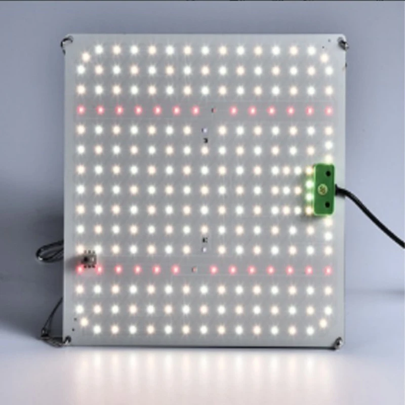 Lampada per la crescita a LED a spettro completo Lampada per piante LM281B dimmerabile per illuminazione per la crescita delle piante idroponiche in serra a diverse fasi