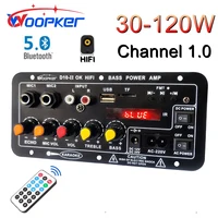Woopker D10-II placa amplificadora de Audio módulo amplificador Digital Bluetooth 30-120W para altavoz de 4 Ohm 110V-220V 12V/24V con pantalla LED