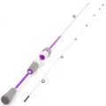 Casting Rod