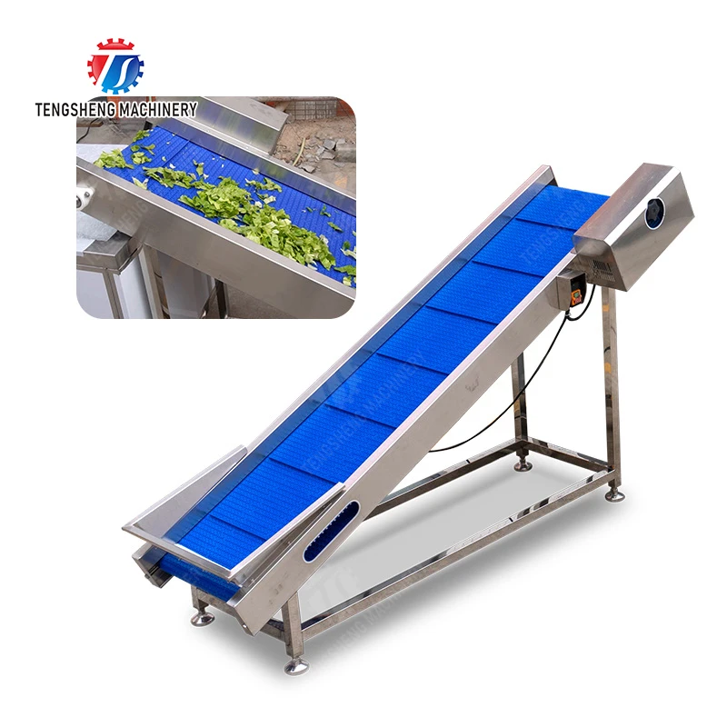 آلة مصعد الفاكهة للبيع بالجملة والتفاح الطازج والموز والبرتقال والعنب التعامل مع بناء متين من الفولاذ المقاوم للصدأ #3