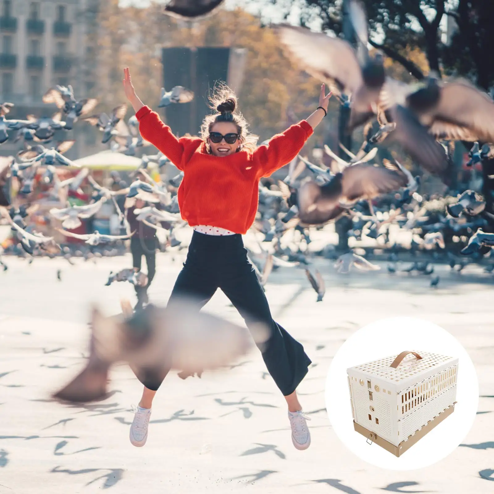 ABS بولي كلوريد الفينيل قفص حمامة قابل للطي صينية قابلة للإزالة سهلة التنظيف المحمولة النقل يستريح المنازل بيت الطيور التعشيش قفص #3