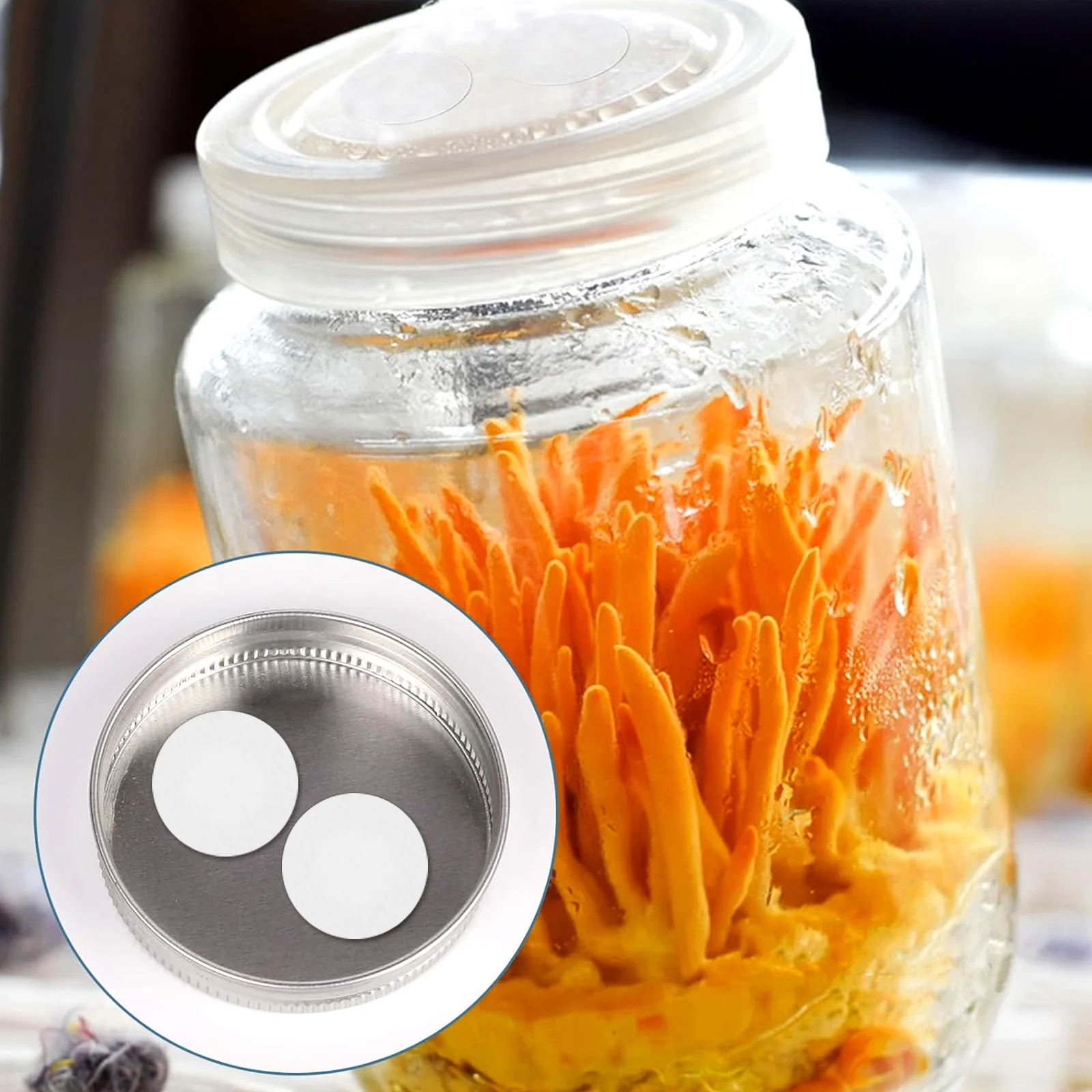 1 Arkusz Syntetycznego Papieru Filtracyjnego Samoprzylepny Dysk Filtracyjny do Mikologiaii i Hodowli