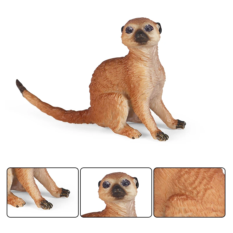 Oenux Simulation Neue Wilde Tierfiguren Stehende Wüsten-Meerkatze Otter Nutria Modell Actionfiguren Kinder-Lernspielzeug Geschenk – Detail 13